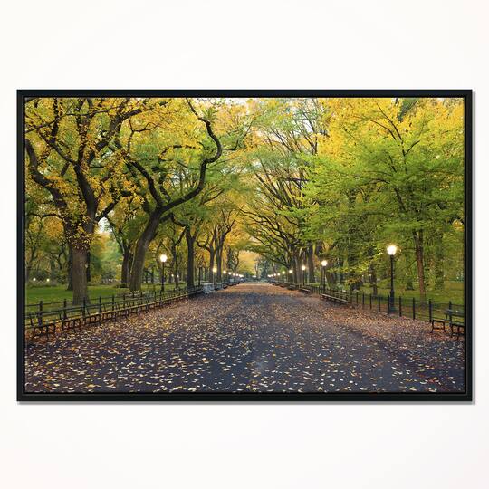 Designart - The Mall Area in Central Park